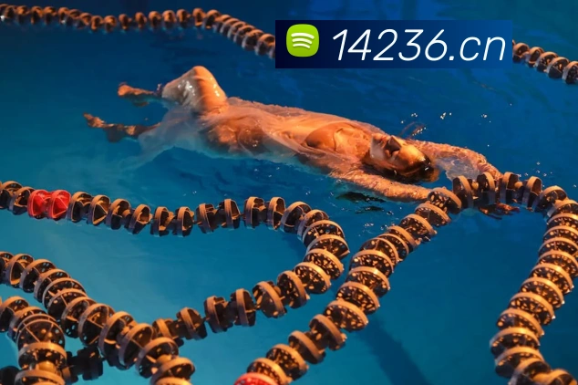 易倍emc网页登录发展历程